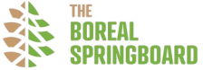 the-boreal-springboard-logo